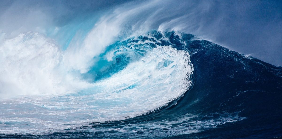 complicaciones Fraseología gusto Por qué son importantes los océanos y mares? OLD - CLME+ HUB