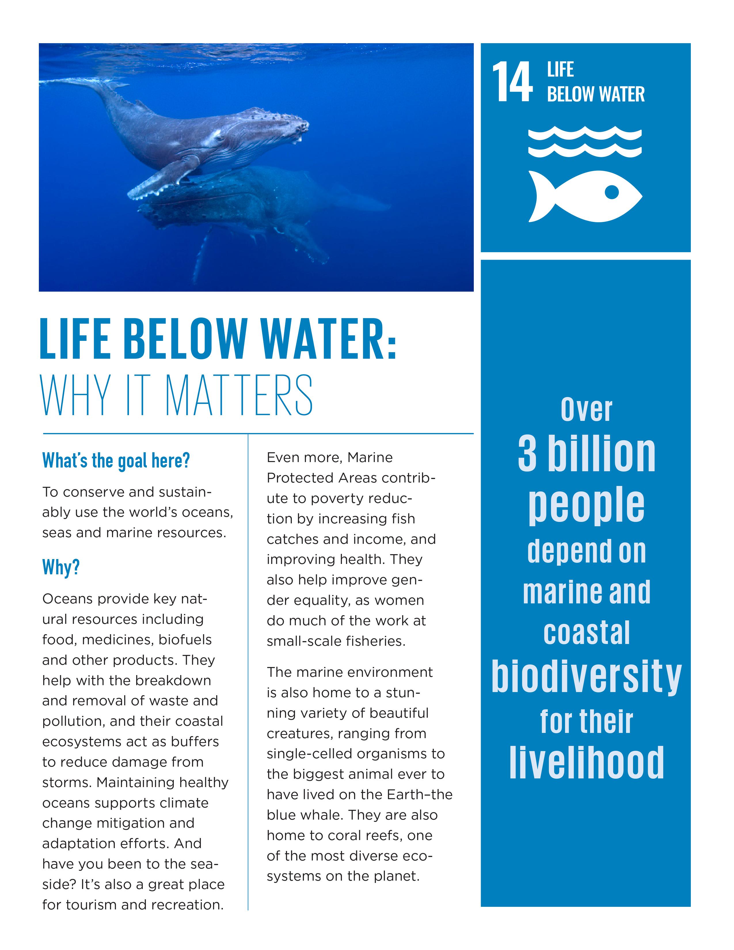 Life Below Water Why It Matters CLME HUB