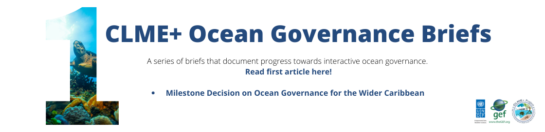 More than 20 countries and 14 organizations convened to lay the foundations for a regional “ocean governance” Coordination Mechanism.