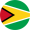 guyana-flag-round-icon-128