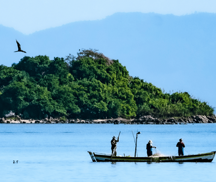 pescadores brazil min